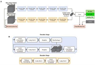 Deep Learning-Based Classification of Inflammatory Arthritis by Identification of Joint Shape Patterns—How Neural Networks Can Tell Us Where to “Deep Dive” Clinically